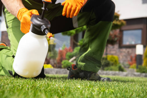 Best Affordable Pest Control Services  in Fayette, AL