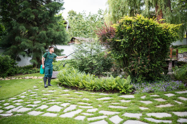 Wasp Removal Services in Fayette, AL
