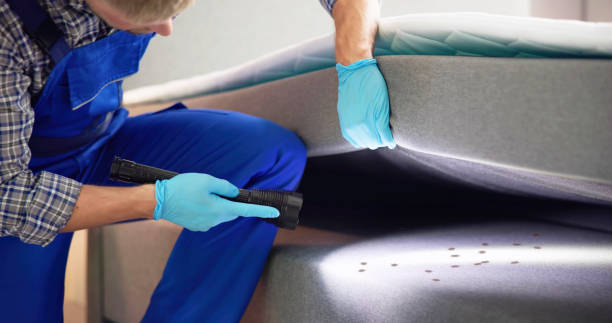 Best Rat Extermination Near Me  in Fayette, AL